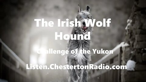 The Irish Wolf Hound - Challenge of the Yukon