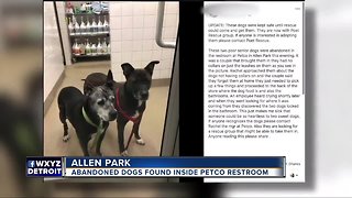 Abandoned dogs found inside Petco bathroom in Allen Park