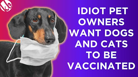 Idiot pet owners demand to know when they can vaccinate their dogs and cats against COVID. Seriously