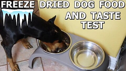 The Cube Freeze Dryer - Making Freeze Dried Pet Food And Taste Test