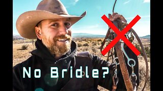 Riding Without a Bridle? A Montana Cattle Drive Adventure Part 2