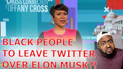 Tiffany Cross Believes Elon Musk Will Make Black Twitter Entertainment For White Supremacists