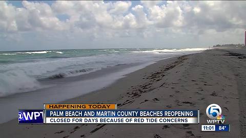 Beaches open in Palm Beach County after week of red tide closures