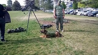 K-9 TRAINING VIDEO