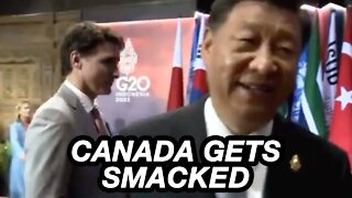 China disciplines Trudeau like a puppy 🗞️