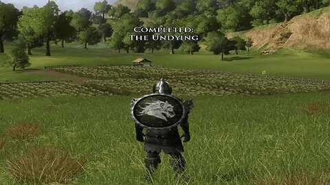 Lord of the Rings Online Rohan Brawler Journey to Level 20 part 5 Undying!