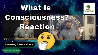What Is Consciousness? Reaction to @Vsauce