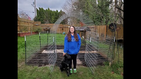 New Garden! New Fence!