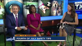 Ask the Expert: Fourth of July safety tips for dogs