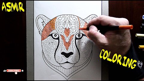 ASMR Coloring Animals - Leopard