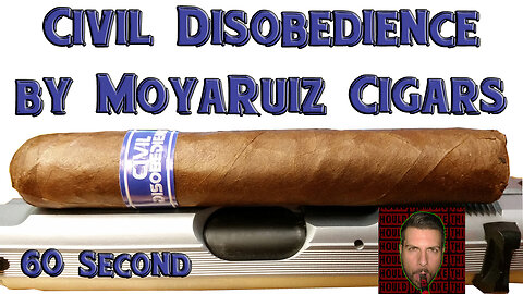 60 SECOND CIGAR REVIEW - MoyaRuiz Civil Disobedience