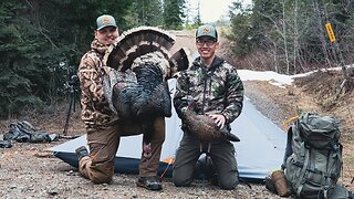 WILD Backwoods Mountain Turkey Hunt (Hunt, Camp, Cook)