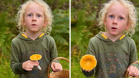 Young Nature Explorer Impressively Identifies Edible Russula Mushroom