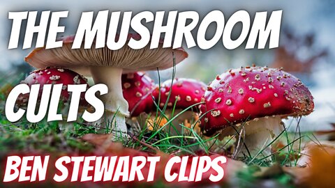 The Mushroom Cults | Kymatica