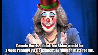 Kamala Harris: Joe Biden would be a good running mate as VP