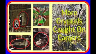 Mysterious Ghost Under A Bridge / More Cryptids Caught On Camera