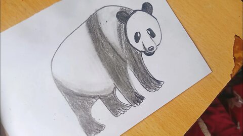How to Draw a Panda Easy - Easy Panda Drawing - Panda Drawing