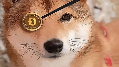 Dogecoin Whale Wakes Up After 10 Years | Dogecoin Wallet Address From 2013 Reactivated