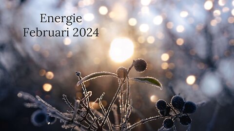 Energie februari 2024 ✨ Het begin van een nieuwe groeifase 💙 Diepe gevoelens en gronding 💙