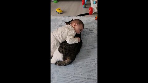 baby_cat__love_(480p)