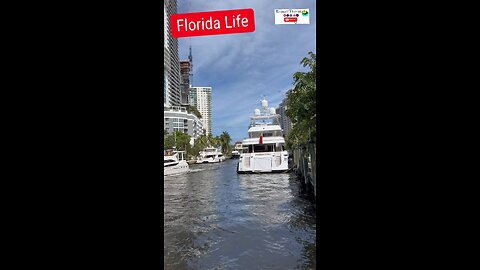 Florida Life 🌴 #floridalife #fortlauderdale #florida #beach #miami #robertTraveler #robert #travel