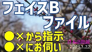 フェイスBファイル～あの機関から指示、そしてお伺い[日本語朗読]050122