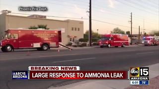 Ice warehouse in Phoenix evacuated for ammonia leak