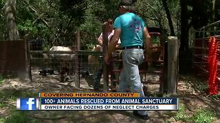 More than 100 animals rescued from animal sanctuary in Hernando County