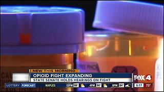 Florida Legislature looks at combating opioid epidemic