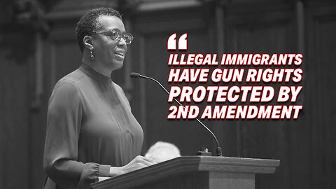 JUDGE RULES ILLEGAL IMMIGRANTS HAVE GUN RIGHTS PROTECTED BY 2ND AMENDMENT