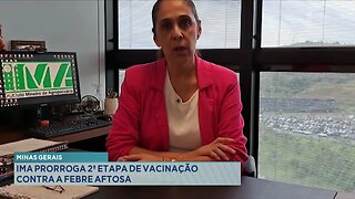 Minas Gerais: IMA Prorroga 2ª Etapa de Vacinação Contra a Febre Aftosa.