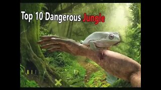Top 10 Dangerous Jungle in the world 🌍 #shorts #facts