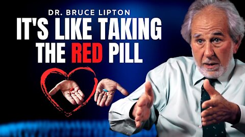 How To Really Get RED-PILLED | Dr. Bruce Lipton (Honeymoon Effect)