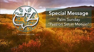 Palm Sunday - Matthew 20:29-21:11 "Passion Set in Motion"