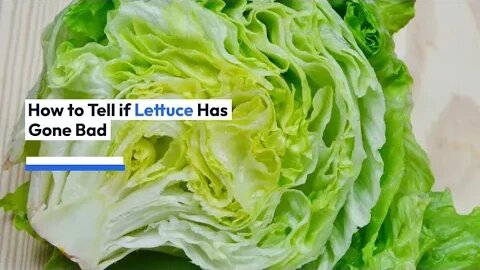 How to Tell if Lettuce Has Gone Bad - Daily Needs Studio