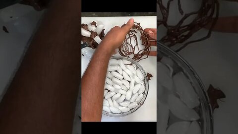 Fast Chocolate Decoration Using Ice