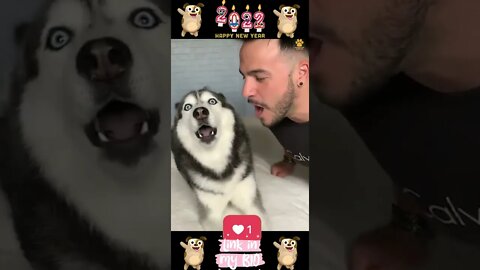 28_😂🐶😂 Baby Dogs - Cute and Funny Dogs Video 😂🐶😂 (2022)