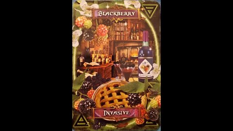 #6 Witches' Kitchen Oracle Cards Blackberry