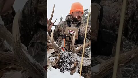 Hunting Wyoming Public Land Bull Elk!