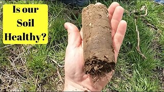 Is our soil healthy?