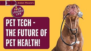 Pet Tech - New Pet Gadgets Are Coming!