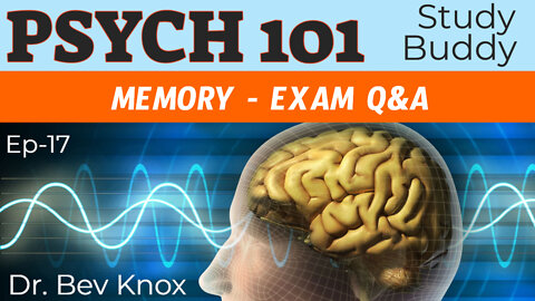 Memory, Encoding & Retrieval Exam Q&A - Psych 101 “Study Buddy” Series