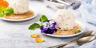 18 Best Edible Flowers - Add Exciting Color To Your Next Dish