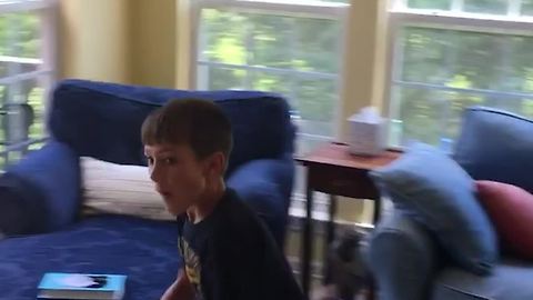 Excited Kid Slams Into Patio Door