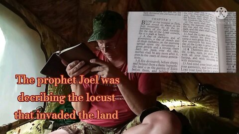 The Prophet Joel