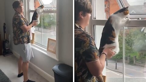 Woman records her boyfriend being the ultimate cat dad