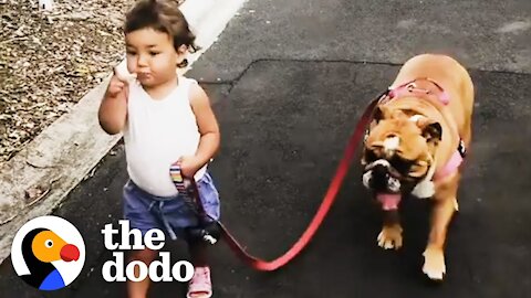 Little Girl Grows Up With Dog BFF — And Introduces Him To Her New Brother | The Dodo Soulmates