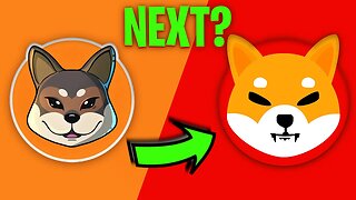 The Next Shiba Inu Will Make Millionaires! (Shikoku Inu)