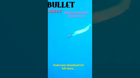 Baitswimmer swimming a garfish underwater camera by GoFishCam