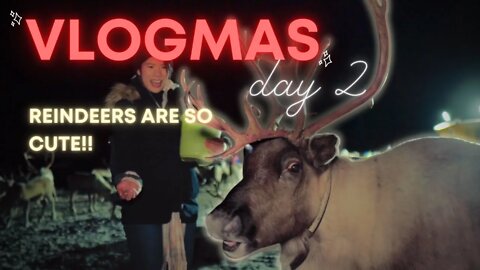 VLOGMAS 2 | feeding REINDEERS in NORWAY TROMSØ!